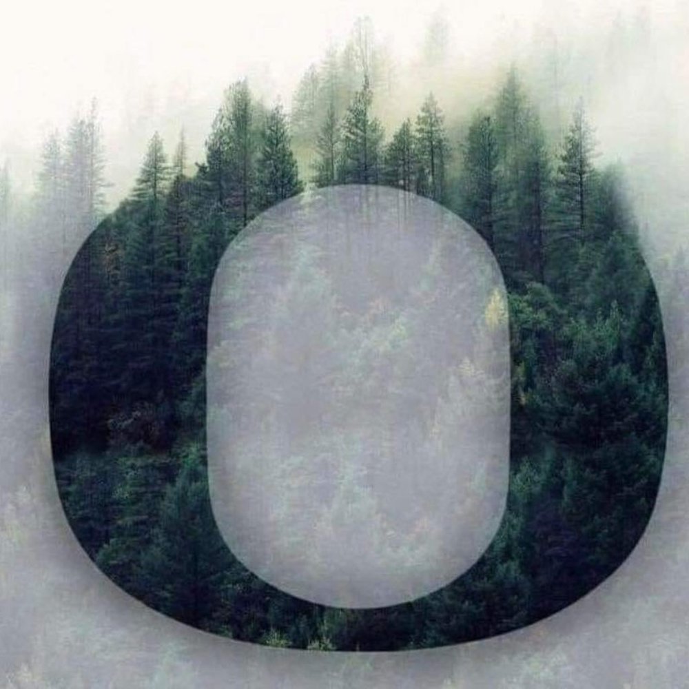 Meet your Posher, Wyatt